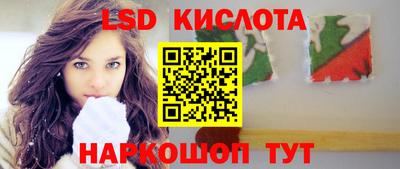 прущие грибы Анапа