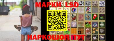 прущие грибы Анапа