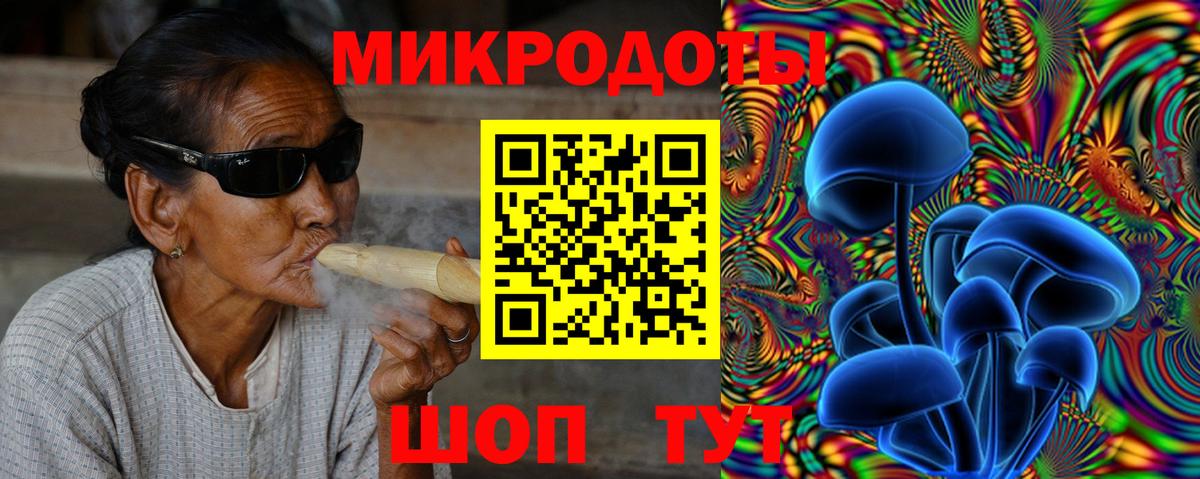 Галлюциногенные грибы Psilocybine cubensis  Вход с VPN  Советск 