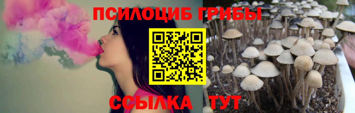 Галлюциногенные грибы Magic Shrooms Советск