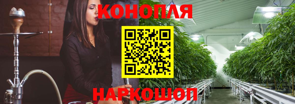 Бошки марихуана Amnesia Советск